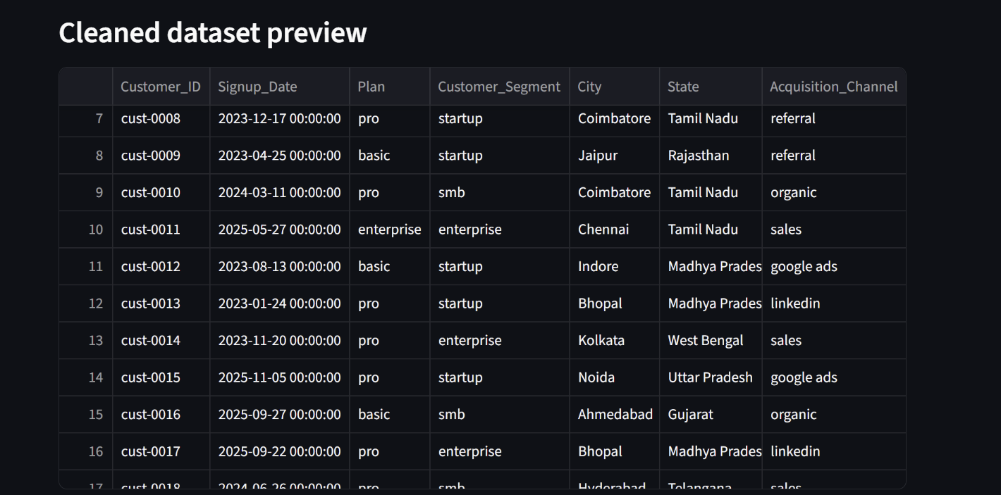 Cleaned dataset preview shown to the user